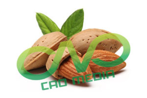 Công bố chất lượng hạt hạnh nhân nhập khẩu