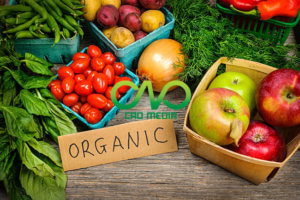 Chi phí dịch vụ đăng ký vệ sinh an toàn thực phẩm