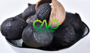 Công bố tiêu chuẩn chất lượng tỏi đen